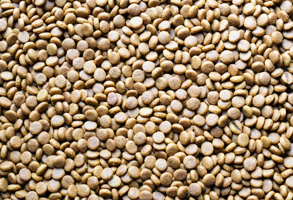 Recettes de smoothies pour booster votre cœur